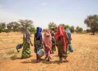 Fotografía de Marta Moreiras, parte de la exposición ‘A la sombra de las acacias’, que puede visitarse en Casa África y muestra el trabajo de una comunidad peul al norte de Senegal contra la desertificación ocasionada por el cambio climático.