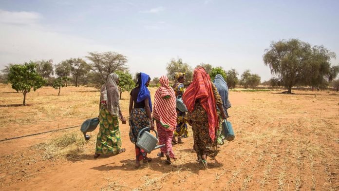 Fotografía de Marta Moreiras, parte de la exposición ‘A la sombra de las acacias’, que puede visitarse en Casa África y muestra el trabajo de una comunidad peul al norte de Senegal contra la desertificación ocasionada por el cambio climático.