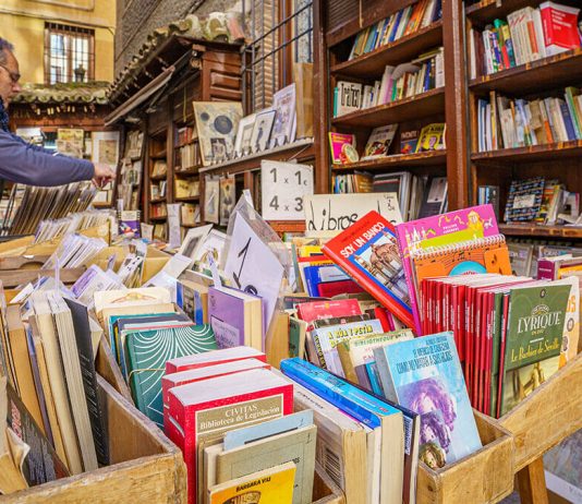 El 11 de noviembre el Día de las Librerías, dedicado en esta ocasión a los libreros independientes