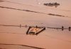 FOTO: Arrozales de la Albufera anegados por la Dana | NACHO DOCE / REUTERS