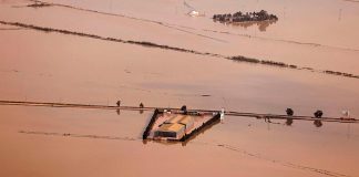 FOTO: Arrozales de la Albufera anegados por la Dana | NACHO DOCE / REUTERS