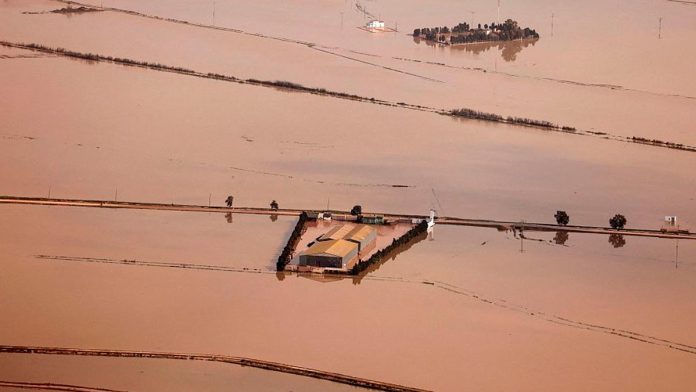 FOTO: Arrozales de la Albufera anegados por la Dana | NACHO DOCE / REUTERS